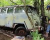 В лесу нашли культовый фургон Volkswagen: он 52 года простоял на месте (фото)
