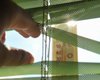 Ночь на 22 сентября в Киеве стала самой теплой за последние 42 года