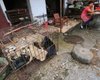 В Китае запретили разводить собак для употребления в пищу
