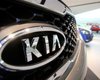 Hyundai и Kia отзывают почти два миллиона автомобилей из-за дефектов стоп-сигнала
