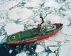 Трибунал ООН встал на сторону  Гринпис  в деле  Arctic Sunrise