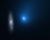 "Снеговик из холодного и темного места". Ученые узнали, откуда прилетела комета Борисова