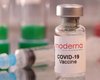 Компанія Moderna створює єдину вакцину проти Covid-19 та грипу: коли з'явиться