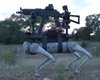 Армия испытывает боевых робо-псов, вооруженных винтовками и карабинами: зачем они нужны