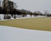 В Киевводоканале сообщили о происхождении желтых пятен на Днепре