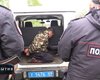 Появилось видео с рассказом единственной выжившей в тверской бойне