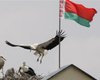Инфляция вновь грозит уничтожить доходы белорусов