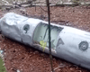 "Искал грибы": мужчина обнаружил ракету в лесу Киевской области, — соцсети (видео)