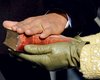 На инаугурации Обамы перепутали слова присяги. Президент США принес присягу повторно