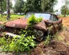 У полі знайшли покинутим рідкісне американське авто: воно 40 років стояло на місці (відео)
