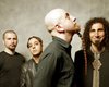 System Of A Down могут вернуться