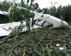 В Сумской области разбился самолет