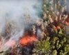 На Гавайях эвакуируют население из-за извержения вулкана