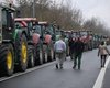Фермеры Чехии и Словакии заблокировали границу из-за импорта продукции из Украины