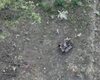 "За Джона Коннора!": українські військові ефектно знищили наземний дрон окупантів (відео)