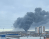 В Санкт-Петербурге вспыхнул масштабный пожар вблизи аэропорта: подробности (видео)