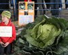Десятилетний житель Аляски вырастил 42-килограммовую капусту