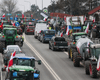 Остановилась вся страна: протесты фермеров парализовали все дороги Польши (фото)