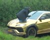 Ради просмотров в Instagram: блогер разбил битой стекло своего Lamborghini (видео)
