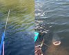 Рыба "поздоровалась" с мужем на рыбалке и стала звездой сети (видео)