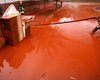 Венгрия: Загрязненная красным шламом вода достигла Сербии