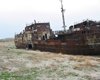 Высыхание Аральского моря привело к неожиданным последствиям: однако все можно исправить (фото)
