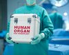 В США женщине пересадили зараженные коронавирусом легкие