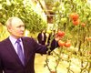 "Это ты, или не ты": Путин пожаловался, что старые друзья его не узнают (видео)