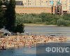 Пляжи Киева: в Гидропарке готовятся к купальному сезону