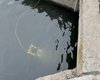 В Украине представлен дрон-"водолаз" CHASING M2: как его использовали (фото)