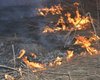 Боевики устраивают пожары, чтобы "выкурить" украинских бойцов из позиций, – штаб ОС