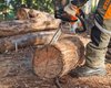 Нова серія побутових бензопил STIHL: потужність та зручність у щоденному використанні