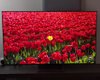 Топ-5 OLED-телевизоров 2026 года: лучшие модели Samsung, LG, Sony (фото)