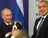 Премьер Болгарии подарил Путину собаку 