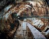 Выставка недели. Классик современникам 