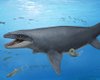 Обнаружены кости таинственного морского чудовища: более 30 лет скрывались у всех на виду (фото)