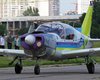 Во время крушения самолета в Одессе погиб известный летчик-испытатель