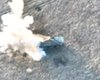 САУ, гаубицы и БТР: операторы ССО сожгли российскую технику на Запорожском направлении (видео)