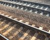 На железной дороге в Дагестане произошло два взрыва