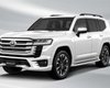 Даєш більше емоцій: Toyota Land Cruiser 300 отримав ефектний спортивний обвіс (відео)