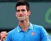 Новак Джокович вновь станет первой ракеткой мира