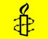 Amnesty International озабочена преследованием активистов в РФ