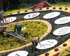 Завтра в Киеве установят самые большие цветочные часы