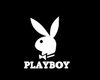 Playboy открыл казино в Мексике