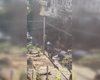 В Киеве произошла стрельба между военными: связь с пропавшим Каплуновым, ГУР и СБУ (видео)