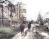 Вели під вибухами: у Авдіївці "Білі янголи" врятували двох породистих коней, — МВС (відео)