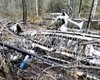Названы основные версии крушения Ан-2 на Урале