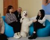 Психоемоційний стан під час війни: результати київського центру каністерапії та історії його відвідувачів