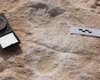 В Саудовской Аравии обнаружили окаменелые следы человека, оставленные 120 тыс. лет назад
