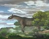 Як чотири африканських слони. У Китаї виявили новий вид гігантських носорогів